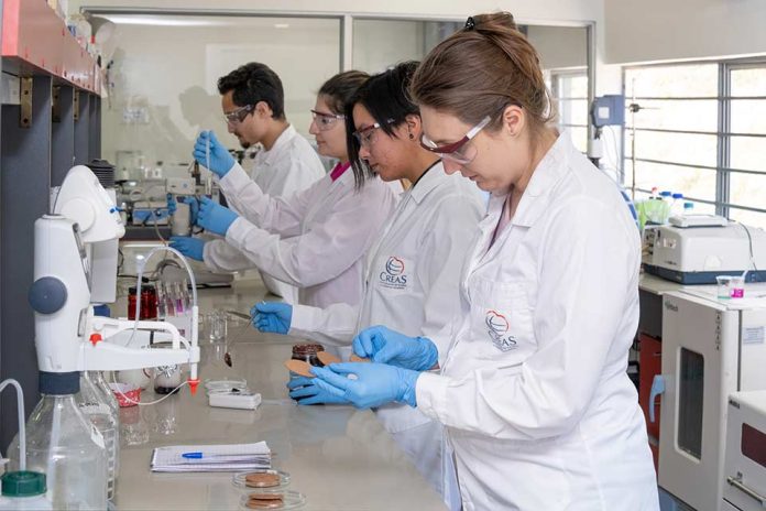 Valdivia será sede del Seminario “Food Innova Los Ríos”: Presentarán oportunidades tecnológicas para la transformación de la industria alimentaria