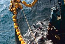 Garware participará en Nor-Fishing 2026 Garware participará en Nor-Fishing 2026