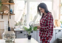 Ideas para la renovación del hogar en primavera con poco presupuesto Ideas para la renovación del hogar en primavera con poco presupuesto