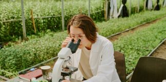 Mujeres de Argentina, Chile, Paraguay y Uruguay podrán postular a una formación gratuita en liderazgo STEM