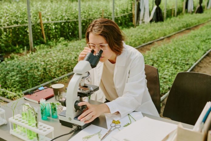 Mujeres de Argentina, Chile, Paraguay y Uruguay podrán postular a una formación gratuita en liderazgo STEM