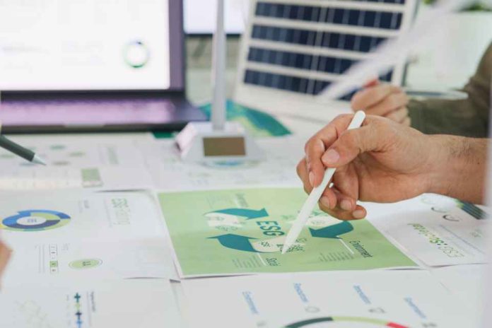 Cómo los negocios online están adoptando prácticas más sostenibles, negocios online sostenibles