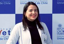 Se amplía el plazo de recepción de resúmenes y de inscripción con precio rebajado para el XI Congreso Nacional de Acuicultura Se amplía el plazo de recepción de resúmenes y de inscripción con precio rebajado para el XI Congreso Nacional de Acuicultura