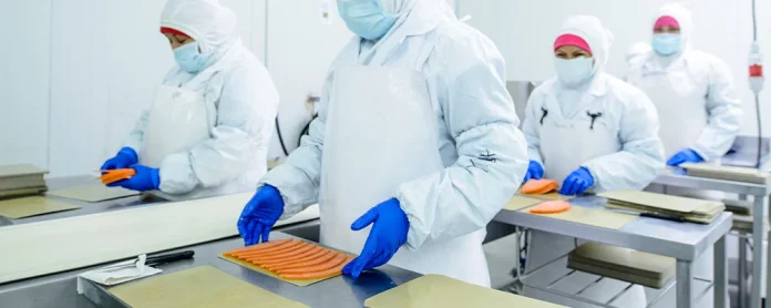 South Wind exportación de productos del mar De proveedor especializado a aliado estratégico en EE.UU.: cómo South Wind convirtió la exigencia en una ventaja competitiva