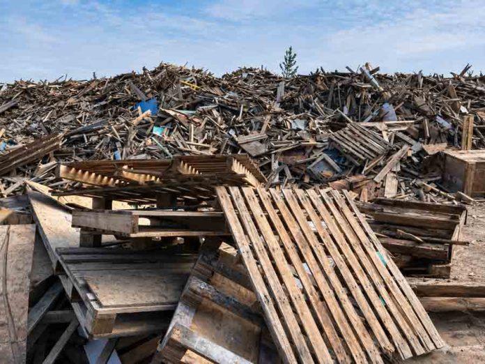 Una línea única en Latinoamérica busca abrir camino al reciclaje industrial de madera en Chile