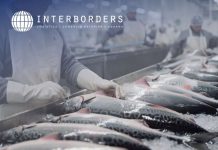 Interborders destaca la logística especializada detrás de las exportaciones de salmón chileno