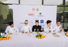 ¡Quedan 10 días para postular a VIK FoodLab 2026, el certamen que ya suma a Chile, Brasil y Colombia!