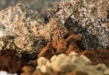 Aclara Resources y la Organización Japonesa para la Seguridad de los Metales y la Energía firman una alianza estratégica para la exploración de tierras raras en Brasil Aclara Resources y la Organización Japonesa para la Seguridad de los Metales y la Energía firman una alianza estratégica para la exploración de tierras raras en Brasil