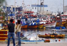 Acuicultura y exportaciones aportan señales positivas al sector pesquero y acuícola en un escenario de alta variabilidad oceanográfica Acuicultura y exportaciones aportan señales positivas al sector pesquero y acuícola en un escenario de alta variabilidad oceanográfica