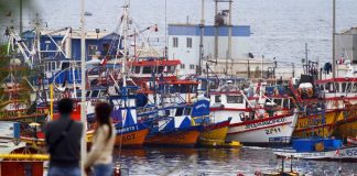 Acuicultura y exportaciones aportan señales positivas al sector pesquero y acuícola en un escenario de alta variabilidad oceanográfica