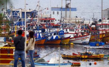 Acuicultura y exportaciones aportan señales positivas al sector pesquero y acuícola en un escenario de alta variabilidad oceanográfica Acuicultura y exportaciones aportan señales positivas al sector pesquero y acuícola en un escenario de alta variabilidad oceanográfica