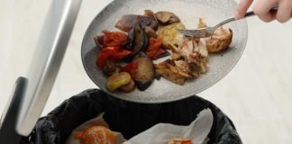 Comida a la basura el desperdicio que golpea al bolsillo y también llena los rellenos sanitarios