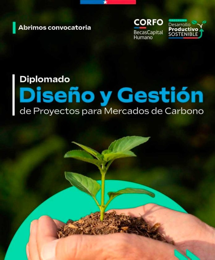 Corfo | Últimos días para postular a las 232 becas para formar profesionales y técnicos en diseño y gestión de proyectos de carbono