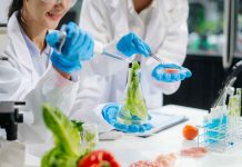 Desde Inteligencia Artificial hasta economía circular: “Food Innova Ñuble” mostrará el potencial tecnológico para la industria alimentaria local