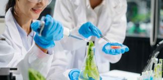 Desde Inteligencia Artificial hasta economía circular: “Food Innova Ñuble” mostrará el potencial tecnológico para la industria alimentaria local