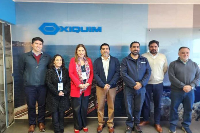 Empleo joven y proveedores locales marcan visita de la seremi del Trabajo a Oxiquim Empleo joven y proveedores locales marcan visita de la seremi del Trabajo a Oxiquim