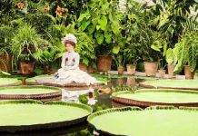 Extrema delgadez en la era de la semaglutida: achicarnos vuelve a ser el mandato 