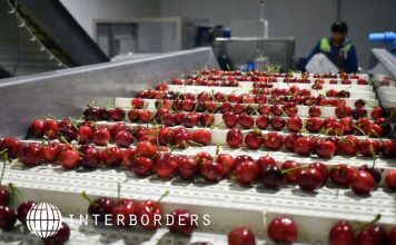 Temporada de cerezas 2026/27: Interborders analiza los desafíos de la cadena de frío rumbo a Asia, Exportación de cerezas proyecta un mayor volumen hacia China y pone a prueba la logística reefer chilena
