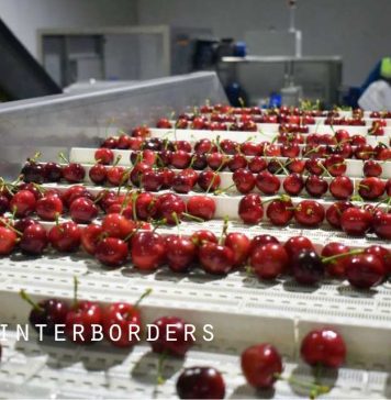 Temporada de cerezas 2026/27: Interborders analiza los desafíos de la cadena de frío rumbo a Asia, Exportación de cerezas proyecta un mayor volumen hacia China y pone a prueba la logística reefer chilena