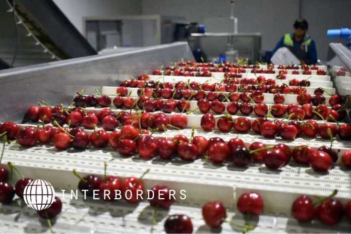 Temporada de cerezas 2026/27: Interborders analiza los desafíos de la cadena de frío rumbo a Asia, Exportación de cerezas proyecta un mayor volumen hacia China y pone a prueba la logística reefer chilena