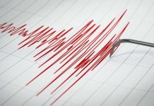 ¿Los grandes sismos están “bajando” hacia Chile? La explicación detrás de la seguidilla en América Los terremotos registrados recientemente en Venezuela, Colombia y Perú pueden dar la impresión de un desplazamiento de la actividad sísmica hacia el sur del continente. Académico UCSC explica por