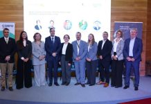 Magallanes y Países Bajos consolidan alianza para el desarrollo de infraestructura compartida y logística portuaria con foco en la transición energética Magallanes y Países Bajos consolidan alianza para el desarrollo de infraestructura compartida y logística portuaria con foco en la transición energética
