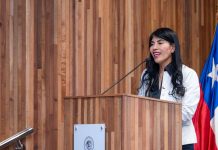 Ministerio CTCI abre convocatoria a Concurso de Fomento a la Vinculación Internacional al que podrán postular Institutos Profesionales y Centros de Formación Técnica