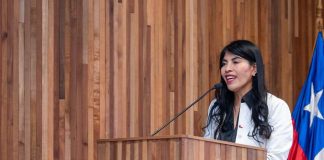 Ministerio CTCI abre convocatoria a Concurso de Fomento a la Vinculación Internacional al que podrán postular Institutos Profesionales y Centros de Formación Técnica