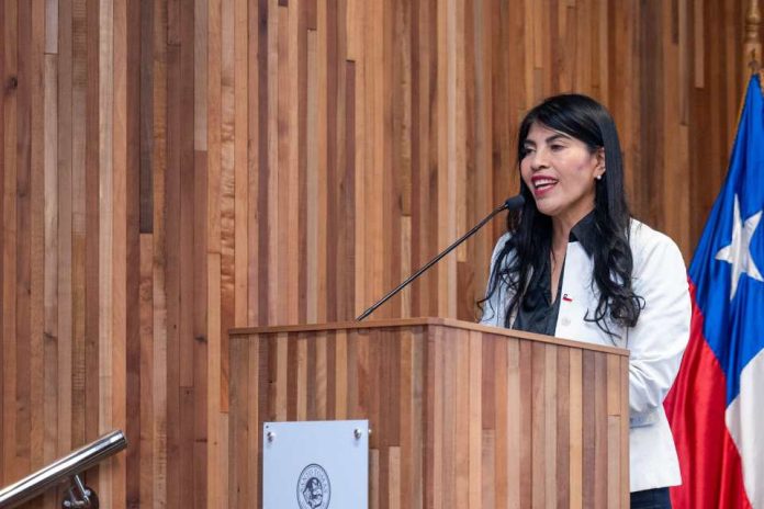 Ministerio CTCI abre convocatoria a Concurso de Fomento a la Vinculación Internacional al que podrán postular Institutos Profesionales y Centros de Formación Técnica