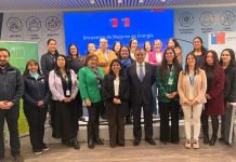 Mujeres del sector energético dialogaron sobre brechas y desafíos para la Agenda Regional de Género Mujeres del sector energético dialogaron sobre brechas y desafíos para la Agenda Regional de Género