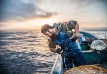 Tras el término de la veda de merluza austral, pescadores artesanales solicitan al subsecretario medidas urgentes para recuperar la pesquería OCEANA Chile, Merluza Austral
