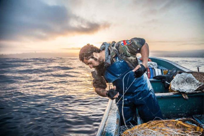 OCEANA Chile, Merluza Austral