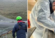 Peces de centro de cultivo de Aysén fueron trasladados a planta en Quellón tras detección de virus ISA Peces de centro de cultivo de Aysén fueron trasladados a planta en Quellón tras detección de virus ISA