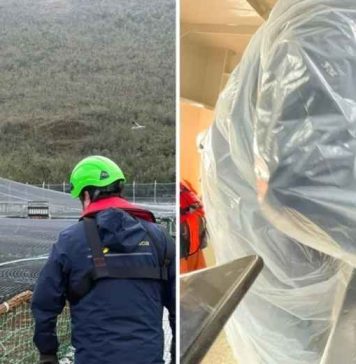 Peces de centro de cultivo de Aysén fueron trasladados a planta en Quellón tras detección de virus ISA Peces de centro de cultivo de Aysén fueron trasladados a planta en Quellón tras detección de virus ISA