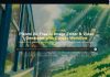 El programa piloto de IA visual de 30 días: qué deben probar los líderes antes de escalarlo El programa piloto de IA visual de 30 días: qué deben probar los líderes antes de escalarlo. Pixomi AI Free AI Image Editor & Video Generator, Banana Pro AI