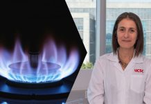 Proyecto convertirá aceite usado y grasa cárnica en dos gases renovables Proyecto convertirá aceite usado y grasa cárnica en dos gases renovables