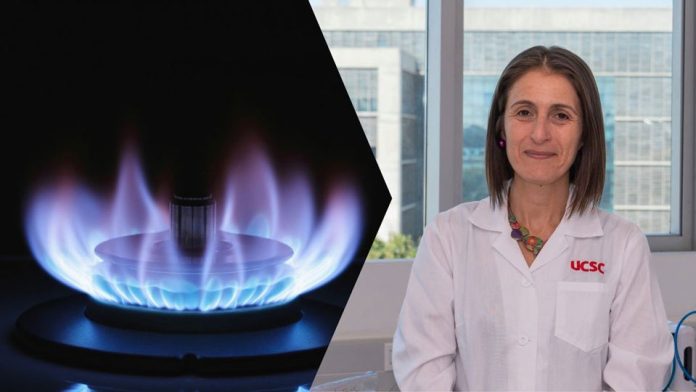 Proyecto convertirá aceite usado y grasa cárnica en dos gases renovables Proyecto convertirá aceite usado y grasa cárnica en dos gases renovables