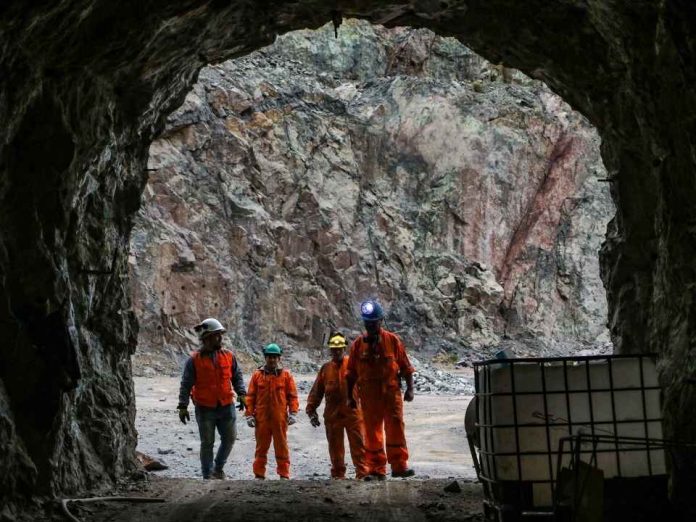 SONAMI llama a suspender remates de pertenencias mineras mientras se discute reforma legal