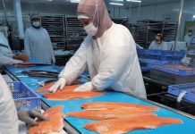 Salmonicultores de Magallanes advierten estancamiento de la industria por trabas en nuevas concesiones Salmonicultores de Magallanes advierten estancamiento de la industria por trabas en nuevas concesiones