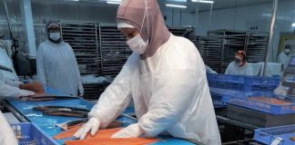 Salmonicultores de Magallanes advierten estancamiento de la industria por trabas en nuevas concesiones