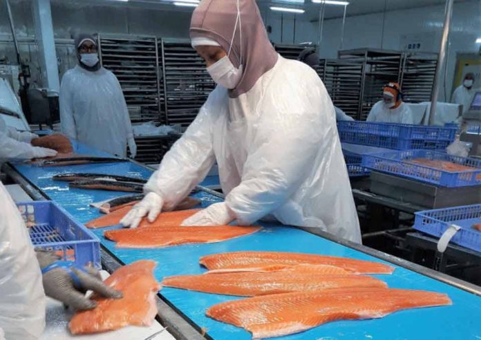 Salmonicultores de Magallanes advierten estancamiento de la industria por trabas en nuevas concesiones