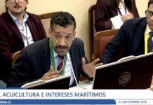 Subpesca revisa uso de zanjas sanitarias ante eventual mortalidad masiva de salmones Subpesca revisa uso de zanjas sanitarias ante eventual mortalidad masiva de salmones