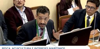 Subpesca revisa uso de zanjas sanitarias ante eventual mortalidad masiva de salmones