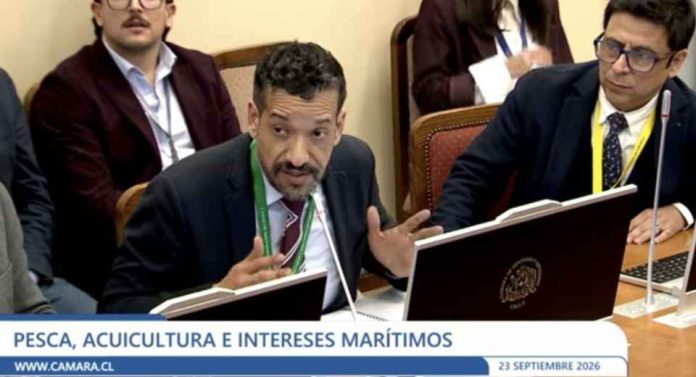 Subpesca revisa uso de zanjas sanitarias ante eventual mortalidad masiva de salmones