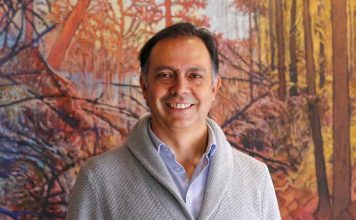 Columna de opinión | Sustentabilidad fuerte: la naturaleza como base del desarrollo Sustentabilidad fuerte