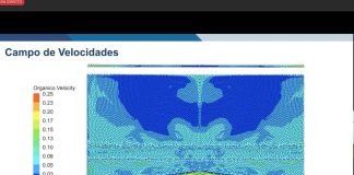 Syntec expone evolución de mejoras de picket fences en exitoso Webinar sobre Simulación CFD en decantadores de Planta SX