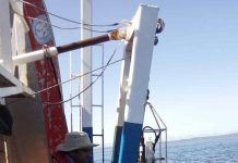 Reportaje | Estudio analiza el estado ambiental del Golfo de Arauco y el potencial de sus recursos marinos Reportaje | Estudio analiza el estado ambiental del Golfo de Arauco y el potencial de sus recursos marinos
