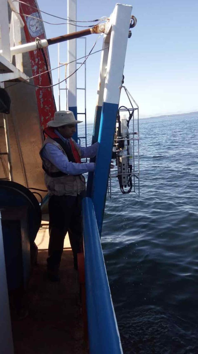 Reportaje | Estudio analiza el estado ambiental del Golfo de Arauco y el potencial de sus recursos marinos