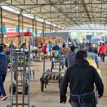 7 de cada 10 hogares chilenos compran en ferias, mientras la reposición cotidiana gana terreno en los mayoristas