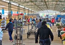 7 de cada 10 hogares chilenos compran en ferias, mientras la reposición cotidiana gana terreno en los mayoristas